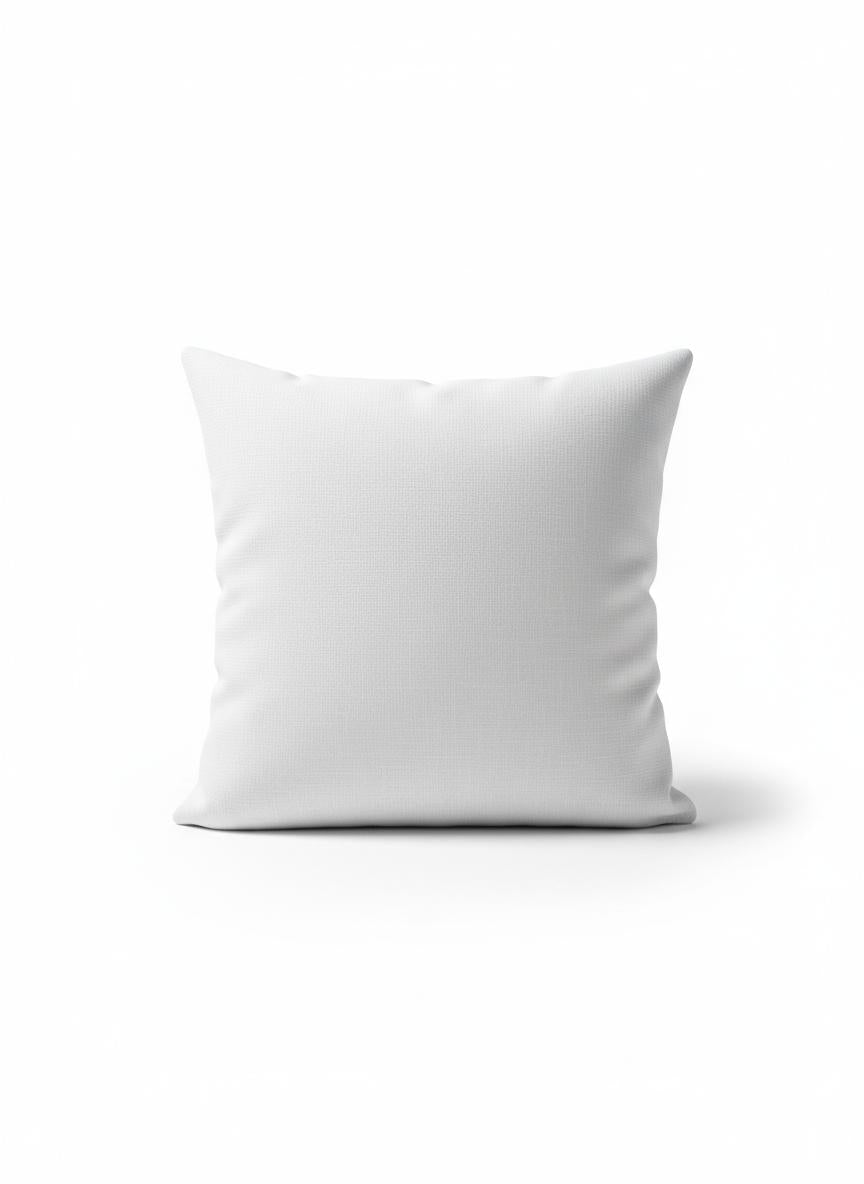 Coussin Minimaliste Blanc